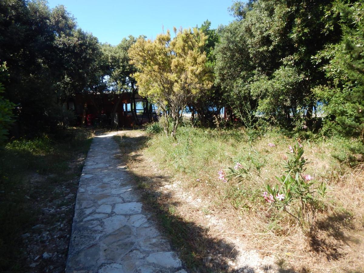 Apartman Duje Petrcane Exterior foto